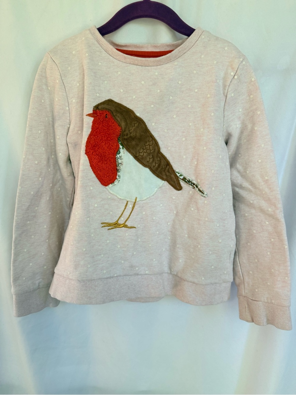 Girls Light Pink Sweatshirt with Red Robin Applique